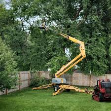 Reliable Shark River Hills, NJ  Tree Services Solutions